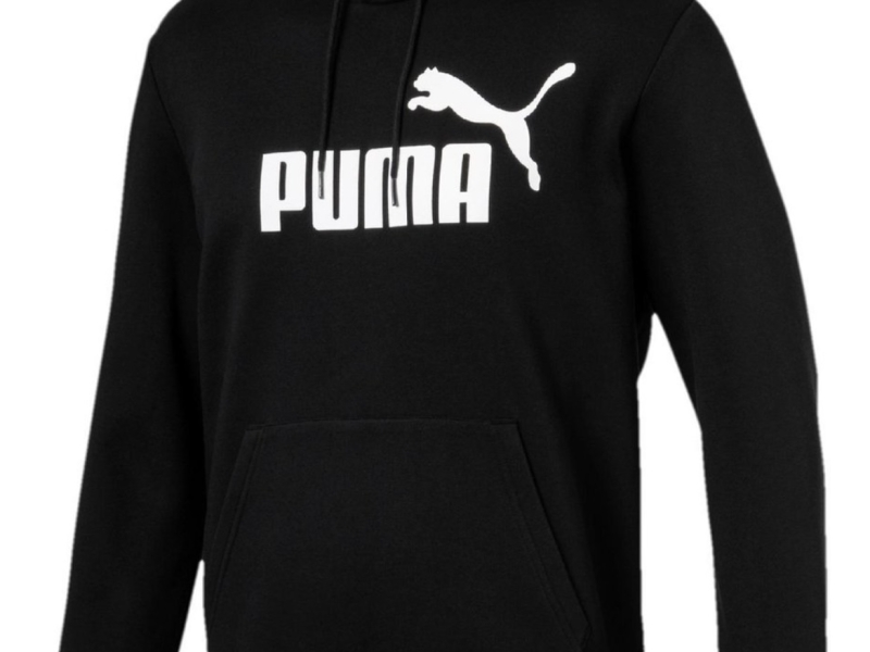 PUMA Essential Hoody FL Big Logo Trui